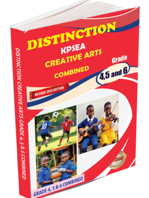 Distinction KPSEA Creative Arts 6